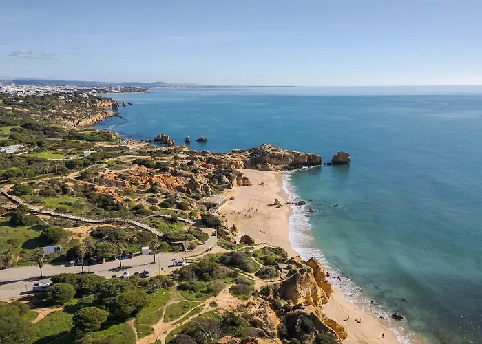Palm Breeze Retreat In W Pool And Balcony By Lisbeyond